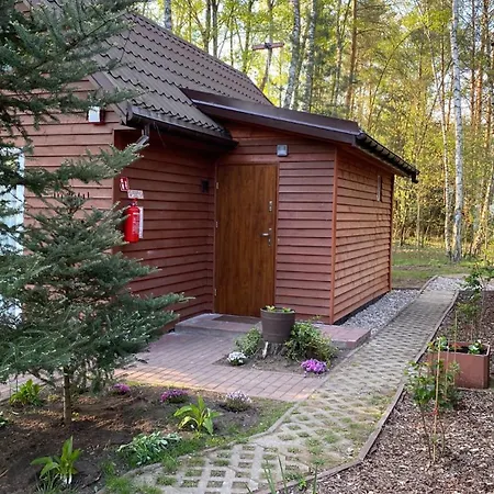 Brzozowy Zakatek Krolewo