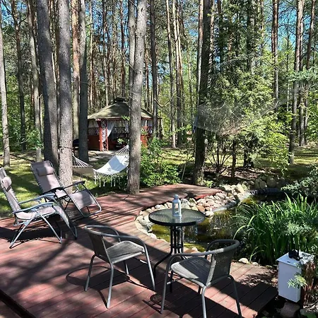 Brzozowy Zakatek Krolewo