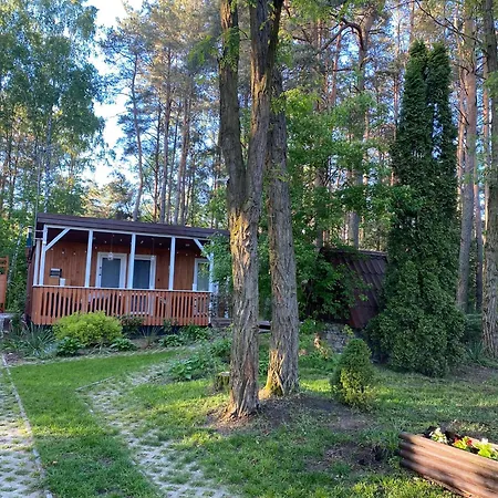 Brzozowy Zakatek Vakantiehuis Krolewo