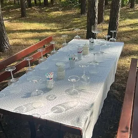 Brzozowy Zakatek Feriehus Krolewo