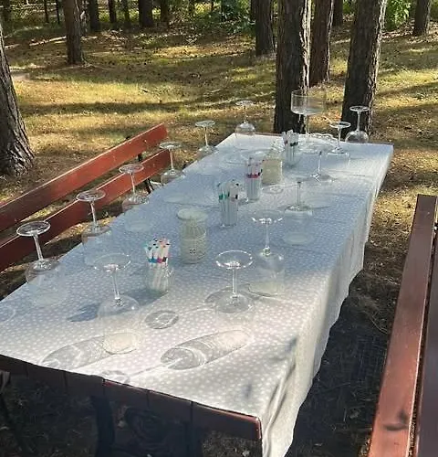 Brzozowy Zakatek Holiday home Krolewo